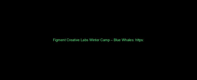 Figment Creative Labs Winter Camp – Blue Whales: https://t.co/3vefB77HwX via @YouTube